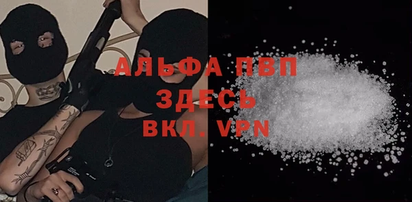 гашик Белоозёрский