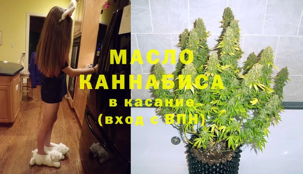 твердый Краснослободск