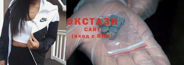 твердый Краснослободск