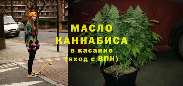 твердый Краснослободск