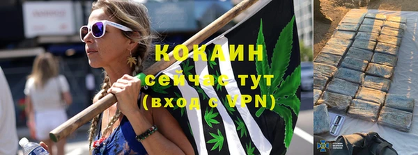 твердый Краснослободск