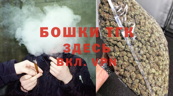 твердый Краснослободск